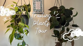 Trailing Plants Tour [upl. by Shulock]