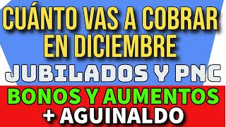 Cuanto y cuando cobro Diciembre de 2023  Jubilados y PNC  Bono Aumento y Aguinaldo Anses fechas [upl. by Janice]