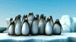 Pinguins  Trabalho em Equipewmv [upl. by Niarfe]