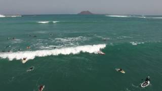 SHARKS IN CORRALEJO  FUERTEVENTURA [upl. by Harwilll883]