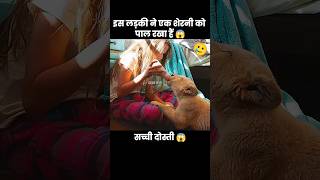 लड़की ने एक शेरनी को पाला लेकिन उसने जो किया 😱  short dog movie recap emotional [upl. by Yssirk]