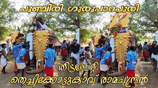 പുഞ്ചിരിയ്ക്ക് വേണ്ടി തിടമ്പേറ്റി  Thechikkottukavu Ramachandran [upl. by King]