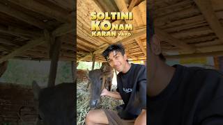 Soltini Ko Naam Karan Vayo😋 villagelifeminivlog villagelifevlog mausuvlog [upl. by Emlen267]