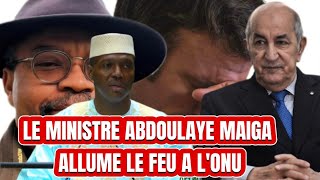 🛑👉🏿LE MINISTRE ABDOULAYE MAIGA🇲🇱👉🏿A LONU 🛑L’NALYSE ET LE DECRYPTGE DU DR WA CAMEROUN WA AFRIKA [upl. by Nosnaj595]