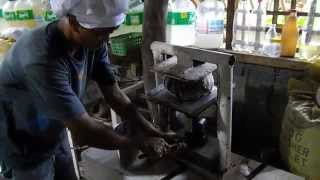 removing Pili Nut Oil from the Pili drupe Pulp [upl. by Idroj]