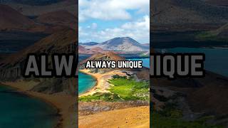 Galápagos Islands Surprising Facts [upl. by Gaynor]