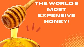 The Worlds Most Expensive Honey [upl. by Gorey]