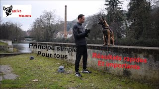 Pourquoi mon chien nobéit pas [upl. by Calandria]