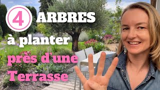 4 arbres à planter près d’une terrasse sans risques avec les racines [upl. by Mieka]