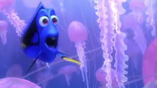 Marlin and Dory Jellyfish scene Finding Nemo 2003 [upl. by Yahiya343]