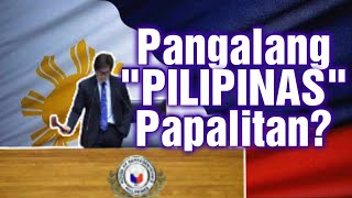 Pangalang PILIPINAS Ay PAPALITAN  Congressman Dan Fernandez  19th Congress 2nd Regular Session [upl. by Nollat637]