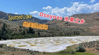 Osoyoos Spotted Lake 水果之乡奥索尤斯绝美斑点湖，大自然的神奇！ [upl. by Rehpinnej]