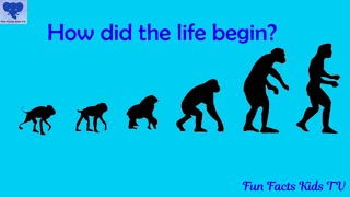 How did life begin and evolve   Evolution for kids  Human Evolution [upl. by Benjie]