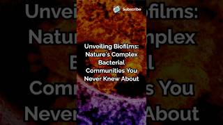 Unveiling Biofilms Natures Complex Bacterial Communities You Never Knew About biologymicrobes [upl. by Anidnamra]