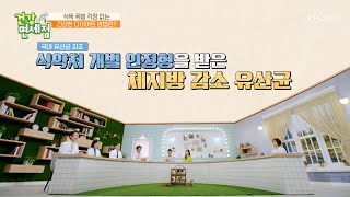 건강한 다이어트와 내장지방 제거를 위해 선택한 ▸BNR17◂ TV CHOSUN 231112 방송  건강면세점］ 162회  TV조선 [upl. by Frere]