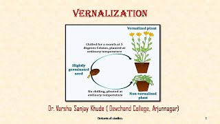 Vernalization  Dr Varsha S Khude  Botanical Studies [upl. by Fogel]