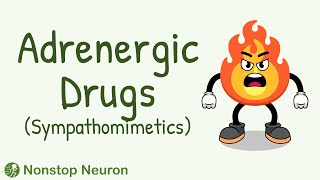 Classification of Adrenergic Drugs  Individual Adrenergic Drugs  Sympathomimetics Pharmacology [upl. by Yenattirb]