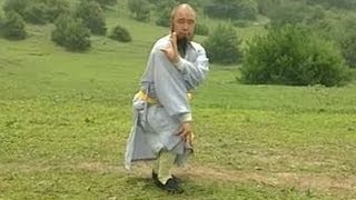 Shaolin Kung Fu Combat Styles 5 7star form 七星拳 qixing quan [upl. by Atiuqihc]