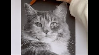 HOW TO TRACE SOUND UP  ONTO PASTELMAT PAPER  PART 2 HOW TO DRAW A CAT [upl. by Verner]