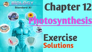 Chapter 12 Photosynthesis Class 11 Biology Exercise Solutions Maharashtra Board [upl. by Nivart]