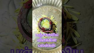 அற்புதமும் அதிசயமும் நிறைந்த பஞ்சகாவிய விளக்கு vilakku poojai dheepam ghee brahmamuhurta vlog [upl. by Dominik818]