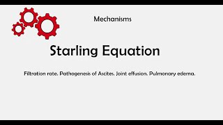 Capillary fluid exchange Starling Equation in Medicine Filtration rateConcepts of ascitesedema [upl. by Skell]