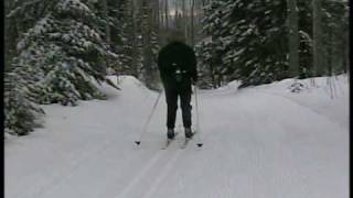 XCountry Skiing Grand Marais MN [upl. by Esiuqram]