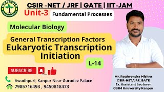 General Transcription Factors  Eukaryotic Transcription Initiation  Lecture20 [upl. by Alauqahs]