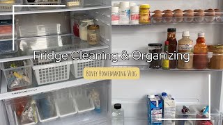 Cleaning and Organizing Fridge  Homemaking Vlog [upl. by Darsie]