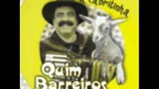 Quim Barreiros  A cabritinha Remix RBoy [upl. by Uot]