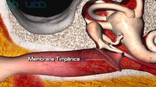 10 Exámen Otorrinolaringología Semiología I [upl. by Inaliak68]