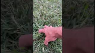 The trouble with crabgrass yard diy tips [upl. by Raamaj]