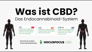 Was ist CBD Wozu CBD Erklärung vom EndocannabinoidSystem des Menschen amp CBD Öl Test [upl. by Ecinaej534]