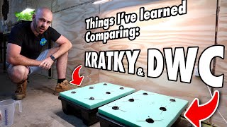 Deep Water Culture vs Kratky And the Importance of Air Flow in Indoor Systems [upl. by Beauchamp]