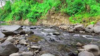 Perfect Background for Study and Focus  Peaceful River Ambience with Gentle Water Flow [upl. by Samal]