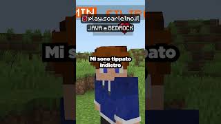 Sono stato Trollato sul mio Server Minecraft 😡 [upl. by Quitt]