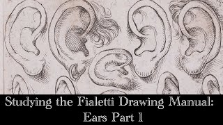 Studying the Fialetti Drawing Manual Ears Pt 1 TimeLapse [upl. by Sorodoeht]