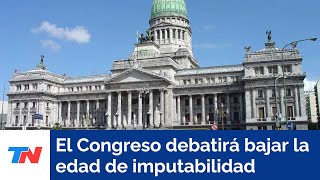 Enviaron al Congreso un proyecto para bajar la edad de imputabilidad [upl. by Kcirad543]