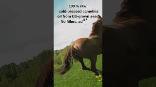 Superior Nutrition for Superior Horses  Camelina Gold Equine Oil [upl. by Tremann]