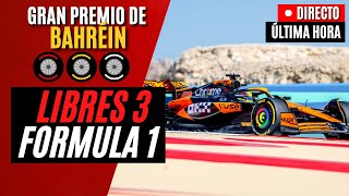 🔴 F1 DIRECTO  GRAN PREMIO DE BAHREIN 2024  LIBRES 3  Live Timing [upl. by Bekki152]