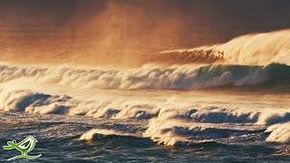 Let Your Thoughts Wander with Ocean Waves Calm Piano Music and Beautiful Nature [upl. by Grearson]