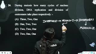 During meiosis how many cycles of nucleus division DNA replication and division of centromere t [upl. by Koppel615]