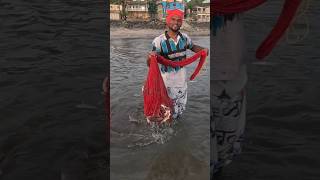 एकाच पागेत आले बालदी भरून मासे cast net fishing Mumbai Indian fishing catfish fishingtips india [upl. by Euqinue]