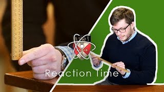 Reaction Time  GCSE Science Required Practical [upl. by Bratton]