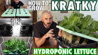 How to Grow Kratky Hydroponic Lettuce Cheap amp Easy [upl. by White30]