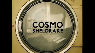 Cosmo Sheldrake  Solar [upl. by Ahsekan]