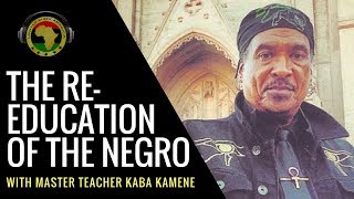 The ReEducation of the Negro With Professor Kaba Kamene of Hidden Colors [upl. by Killam]