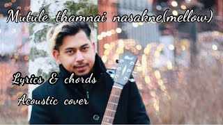 Mutule thamna nasaknemellowacoustic coverlyrics amp chords [upl. by Haley998]