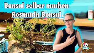 Bonsai selber machen  Rosmarin Bonsai  Versuch 2 Nr [upl. by Aranat73]