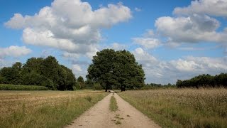 Het Gooi  Een prachtige landstreek met oa Laren en Blaricum [upl. by Josler139]